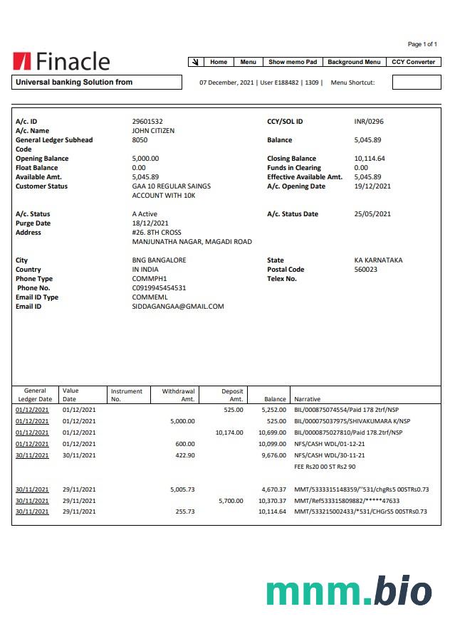 Wyciąg z banku India Finacle łatwy do wypełnienia szablon w formacie Excel i PDF